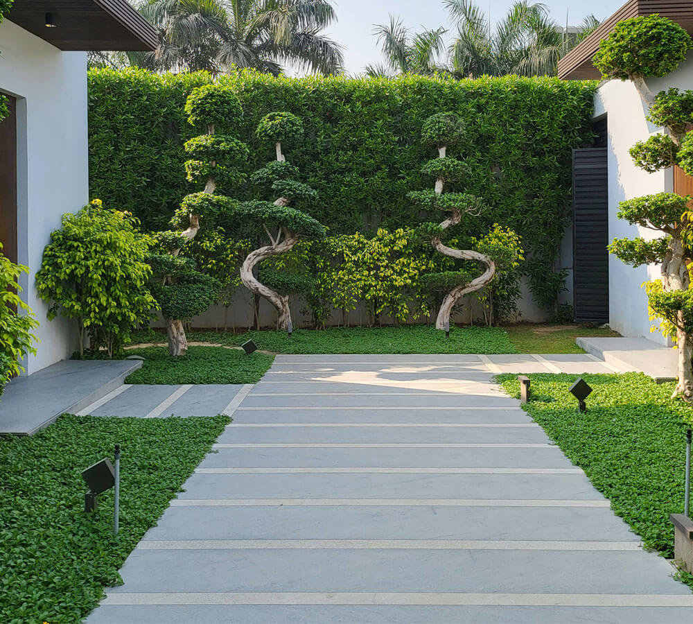 Landscaping